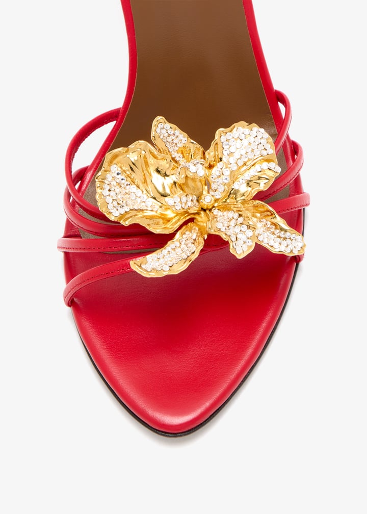 e600006-002_5.jpg?ts=20251122023032