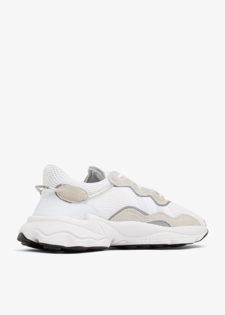 ee6464-ftftcb_4.jpg?ts=20240720031516