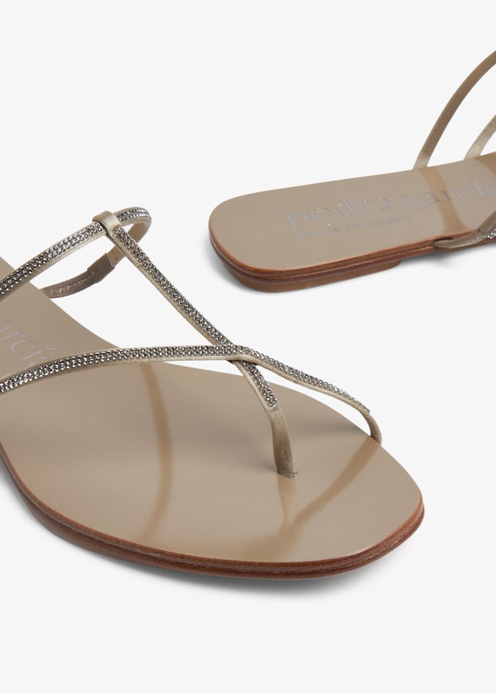 estee-lentil_4.jpg?ts=20231229032613