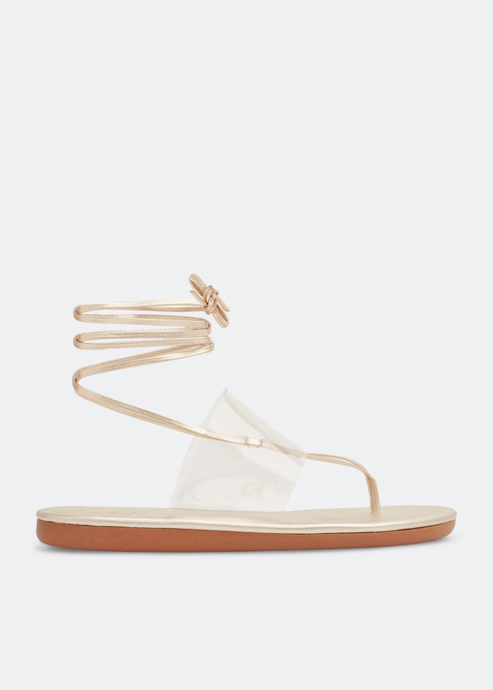 eygenia-clrplt_1.jpg?ts=20220624030517