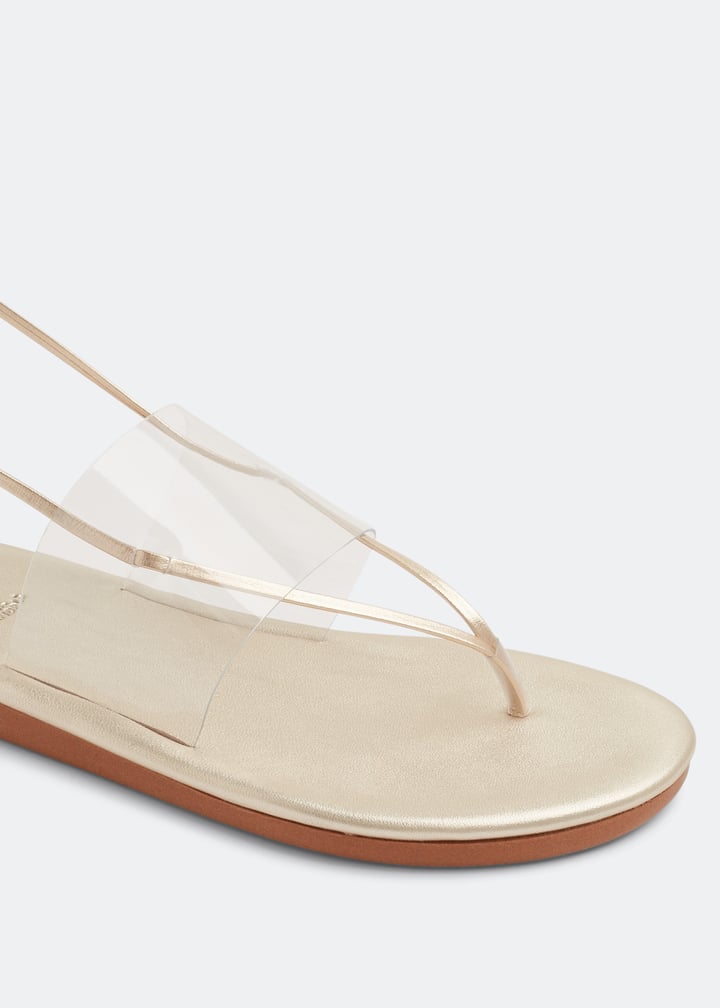 eygenia-clrplt_3.jpg?ts=20220624030517