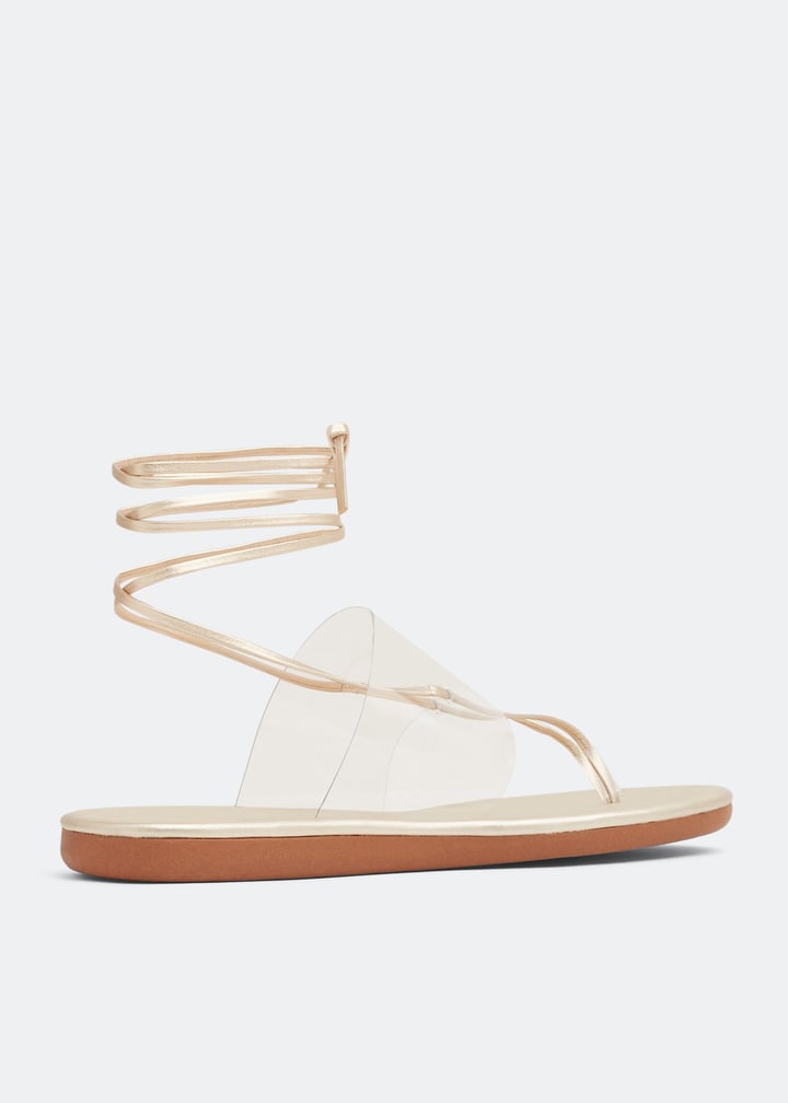 eygenia-clrplt_4.jpg?ts=20220624030518