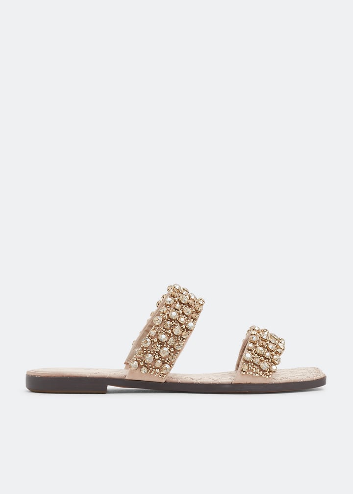 ezel-sesame_1.jpg?ts=20220505183752