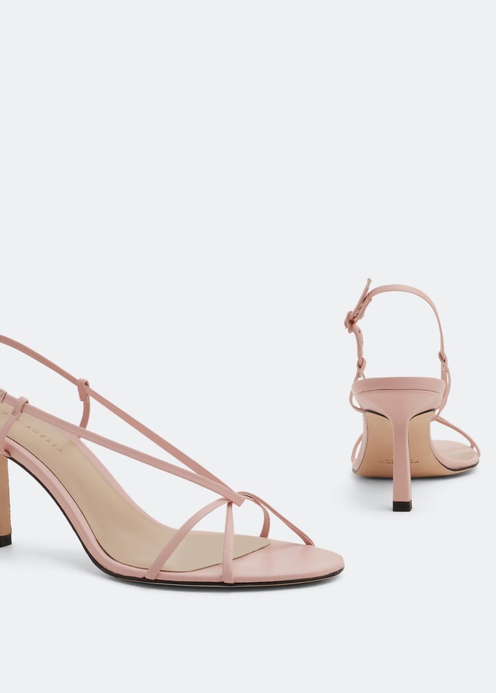 f004-rose_3.jpg?ts=20220505183753