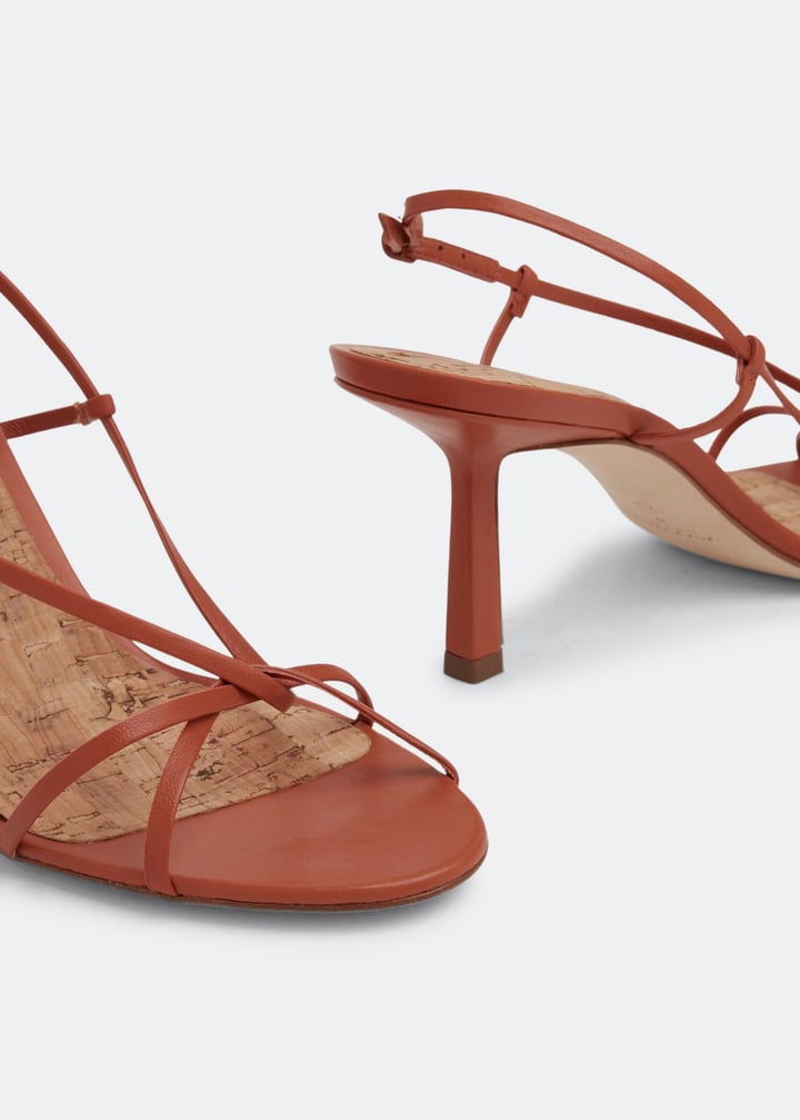 f004c-tercor_3.jpg?ts=20220505183754