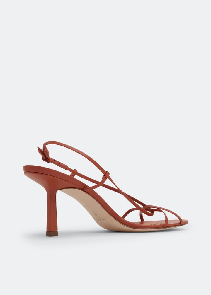 f004c-tercor_4.jpg?ts=20220505183754