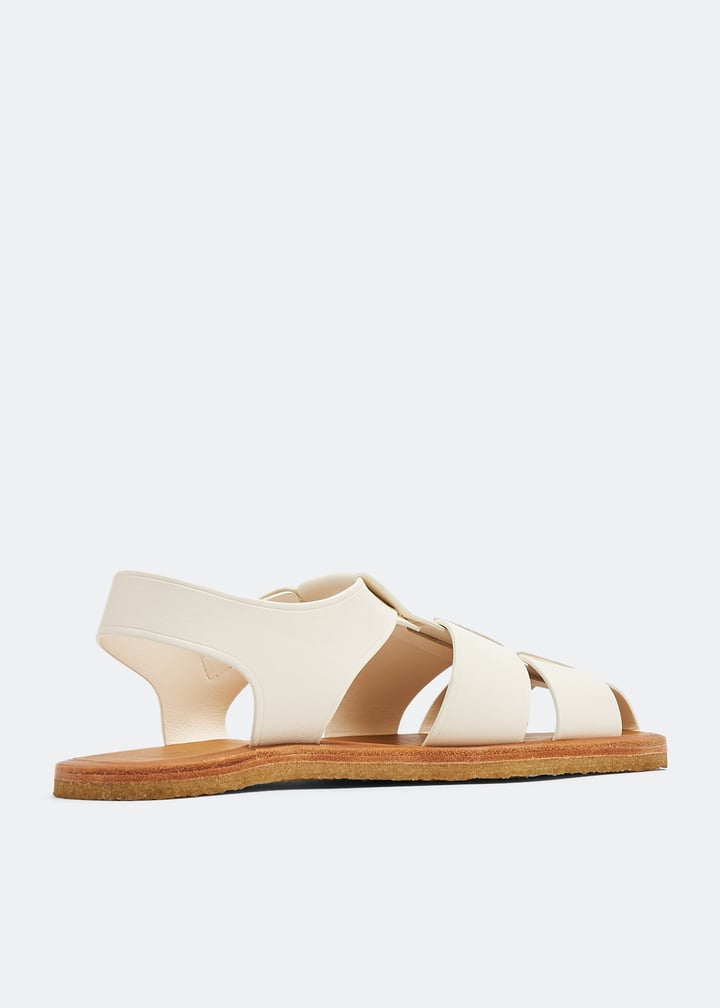 f1343-n60-mlk_4.jpg?ts=20230623081513