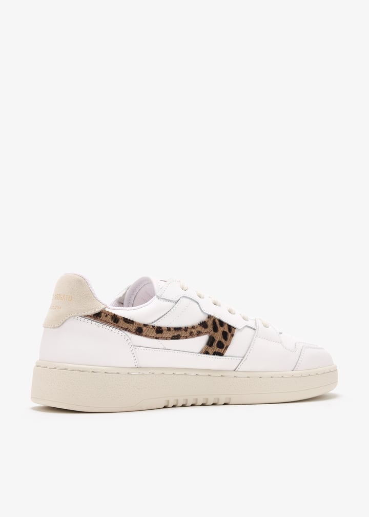 f2812001-whlecr_6.jpg?ts=20250220033516