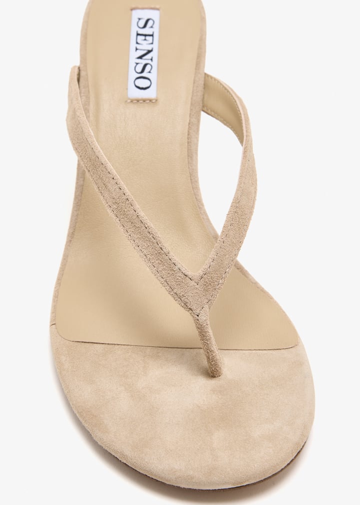 farahi-hj237_5.jpg?ts=20260210094752