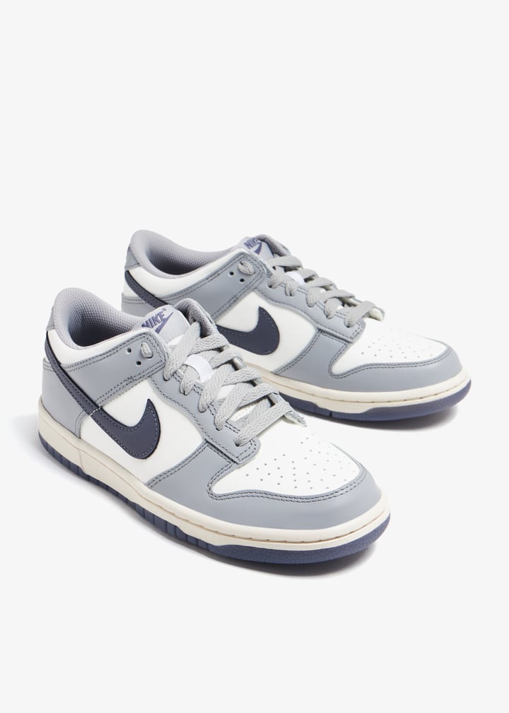Nike Dunk Low Retro PRM sneakers for Kids Unisex - Grey in
