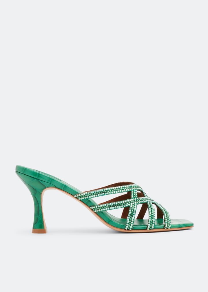 finch-etcgrn_1.jpg?ts=20220822202007