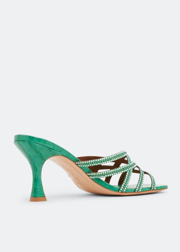 finch-etcgrn_4.jpg?ts=20220822202007