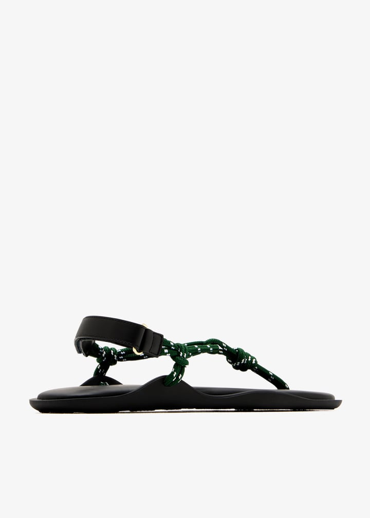 flo-forgrn_6.jpg?ts=20250802030546