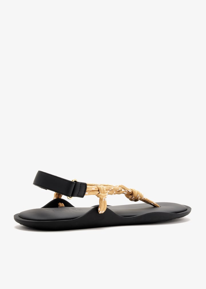 flo-gold_6.jpg?ts=20260304020530