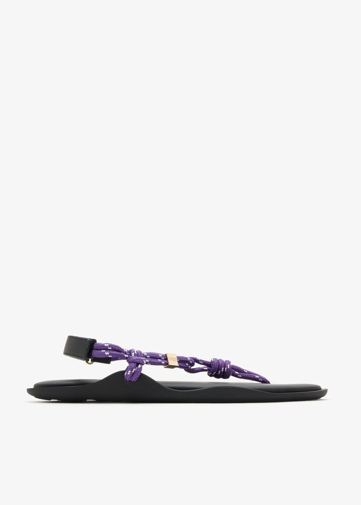 flo-purple_1.jpg?ts=20260505033707