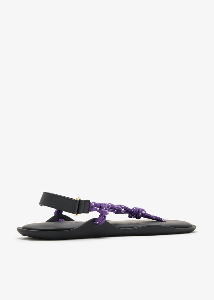 flo-purple_6.jpg?ts=20260512021032