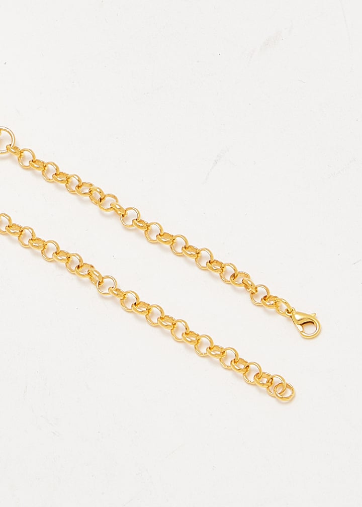 flvrtxchkr-gold_6.jpg?ts=20251003031034