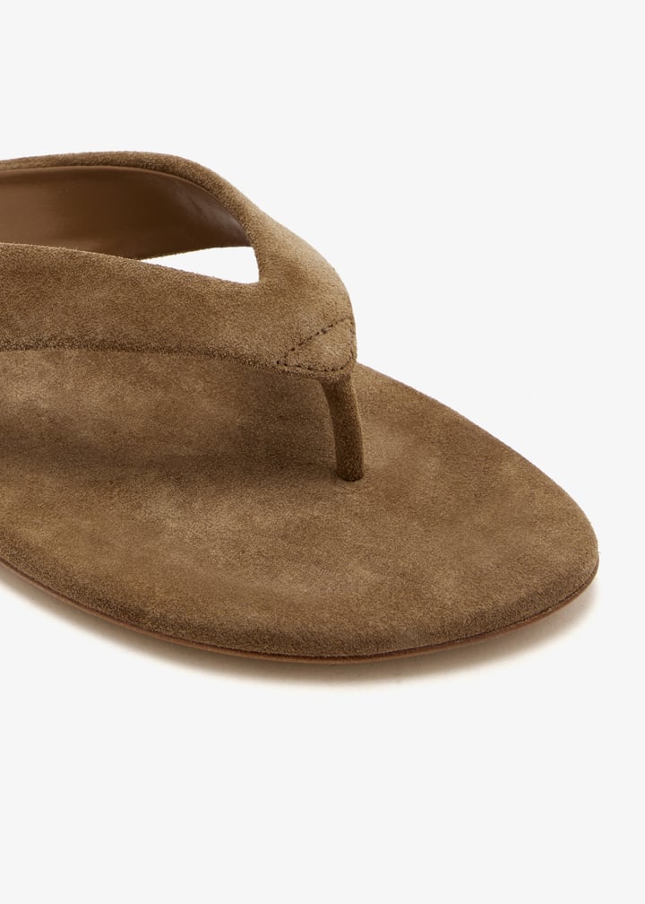 fts-sue-tau_5.jpg?ts=20260128032038