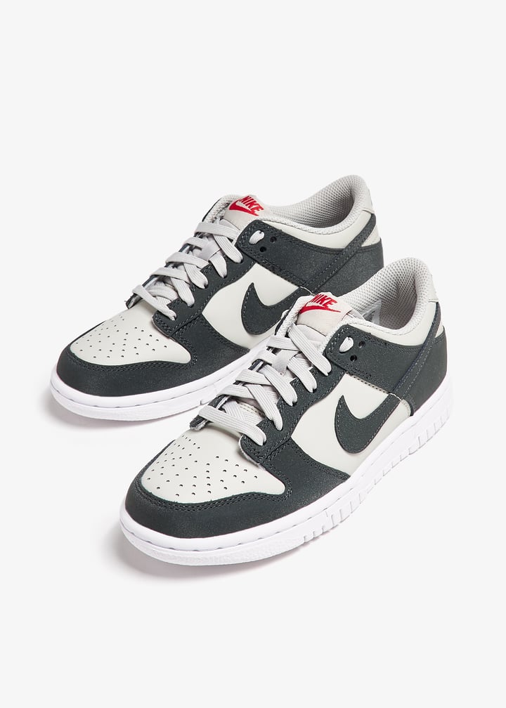 fz1000-001_7.jpg?ts=20241002051022