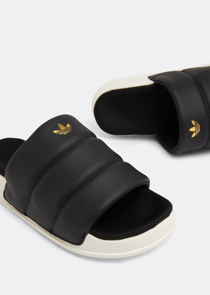 fz6162-cbowgo_3.jpg?ts=20230105030507