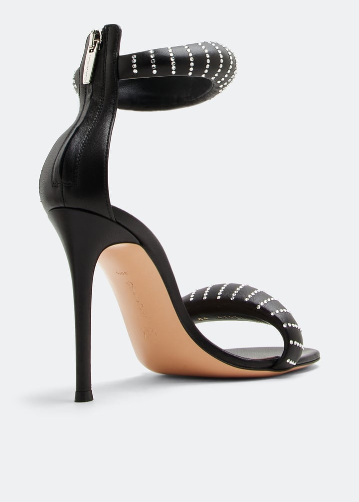 g6163115ricnapnero_3.jpg?ts=20221130030507