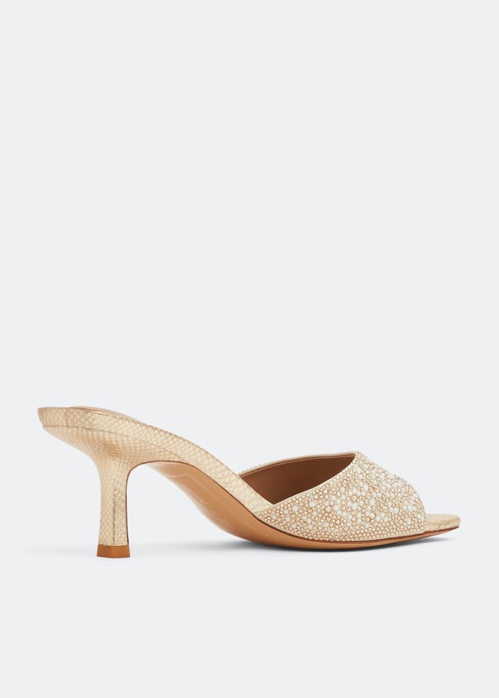 grilli-gold_4.jpg?ts=20221007030515