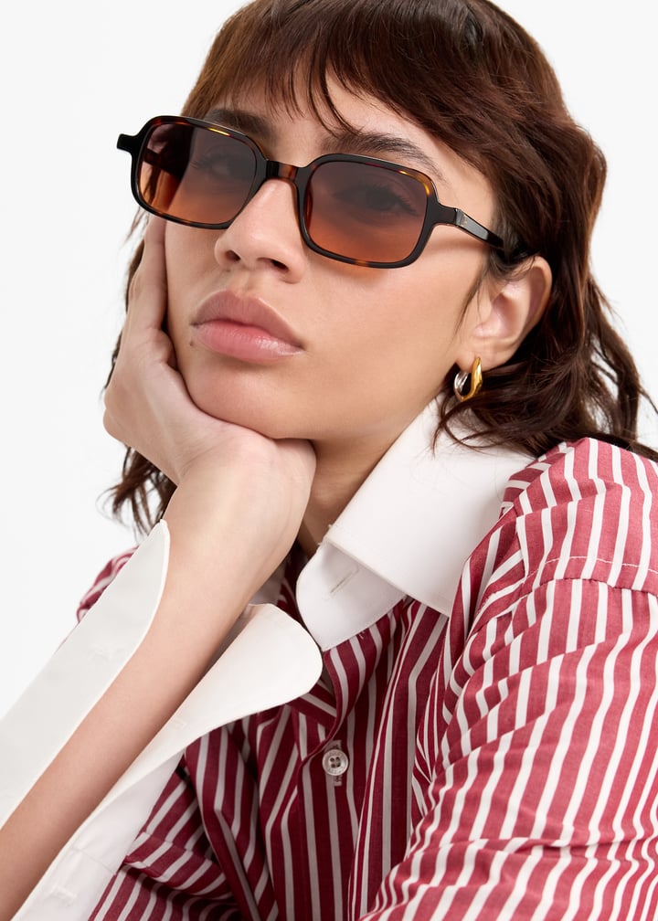 gwen-tortie_3.jpg?ts=20251028033150