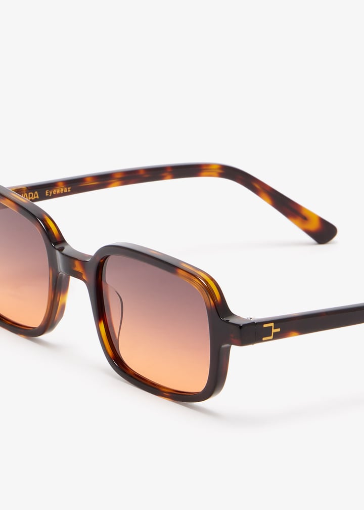 gwen-tortie_5.jpg?ts=20251028033150