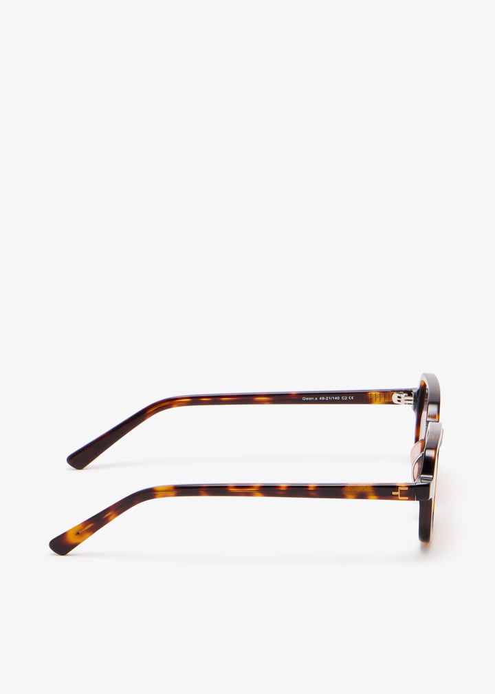 gwen-tortie_6.jpg?ts=20251028033150