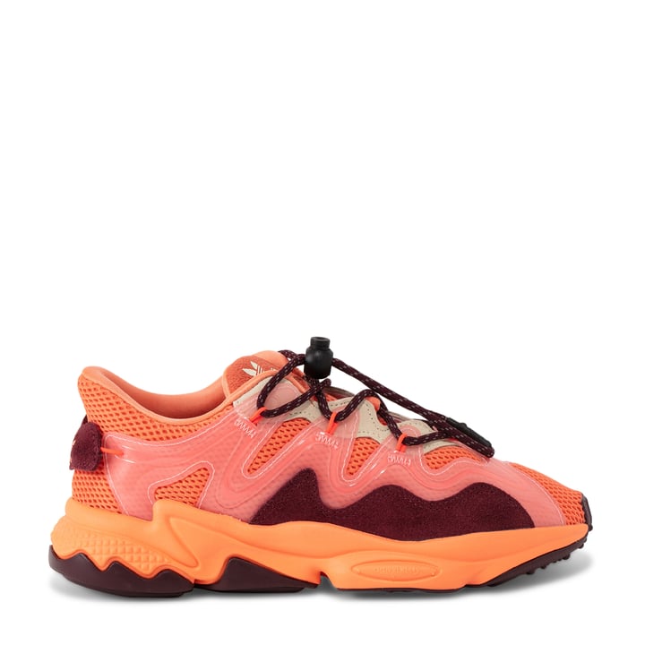 h01567-semagl_1.jpg?ts=20220505183949