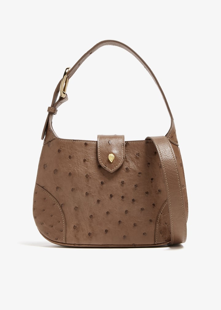 handful-brofli_1.jpg?ts=20241015030521