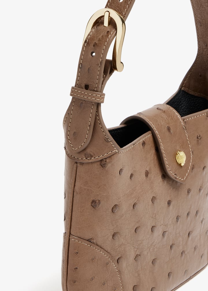 handful-brofli_5.jpg?ts=20241015030521