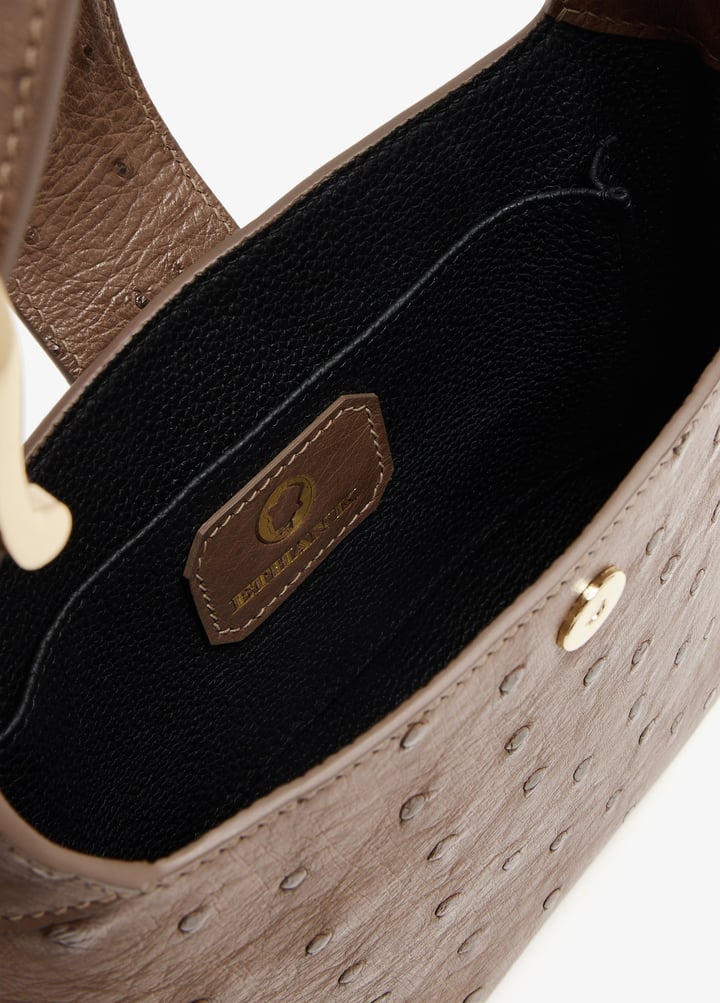 handful-brofli_7.jpg?ts=20241015030521