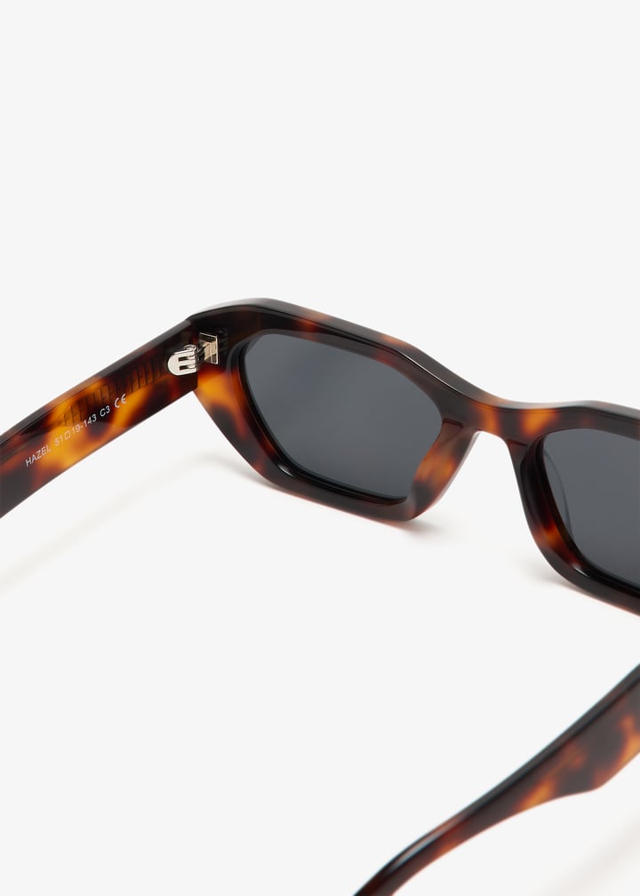 hazel1-tortie_7.jpg?ts=20241219034027