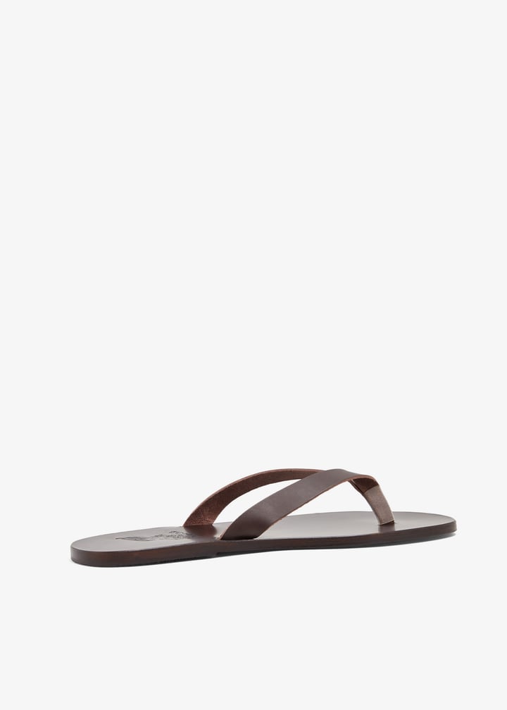 hero-altmor_3.jpg?ts=20240820032549