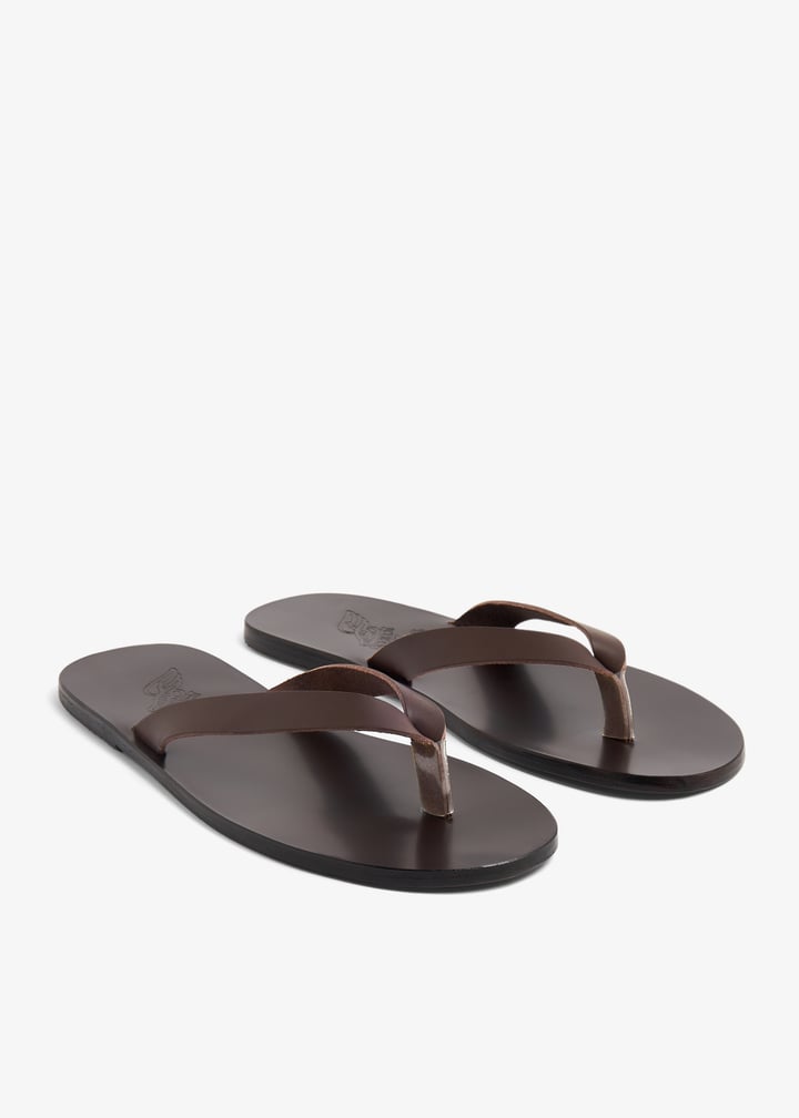 hero-altmor_4.jpg?ts=20240820032549