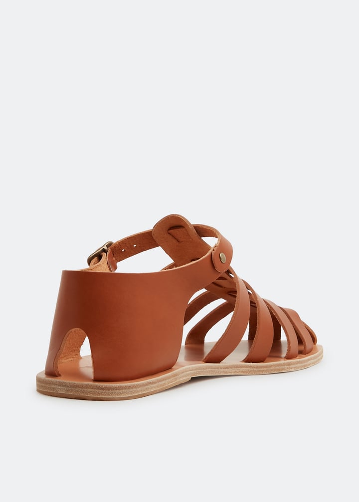 homer-tan_4.jpg?ts=20220505184044