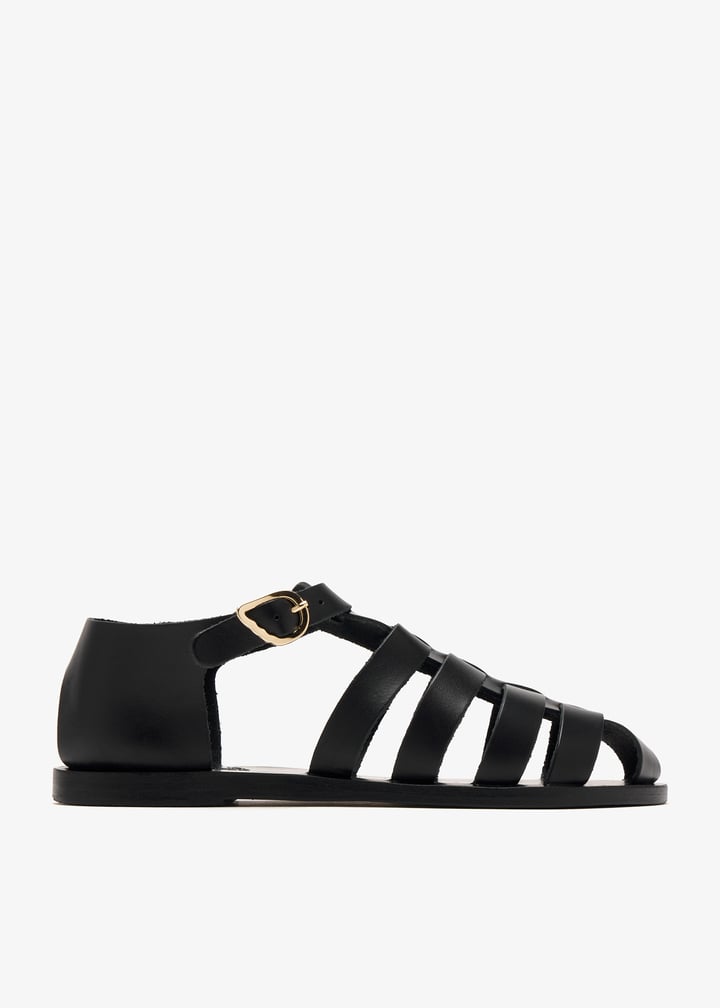 homeria-black_1.jpg?ts=20250123033014