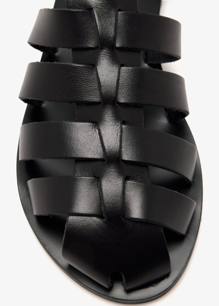 homeria-black_5.jpg?ts=20250123033014