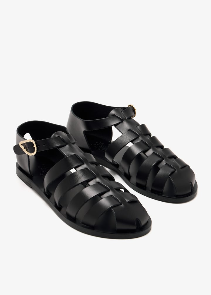 homeria-black_7.jpg?ts=20250123033014