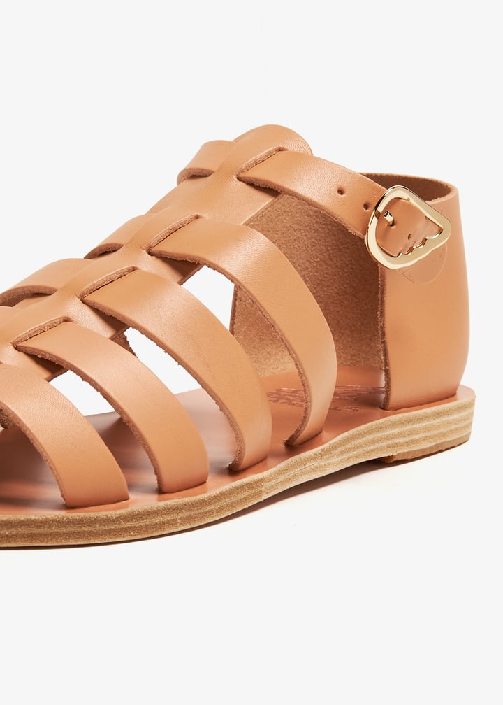 homeria-naturl_5.jpg?ts=20240622040019