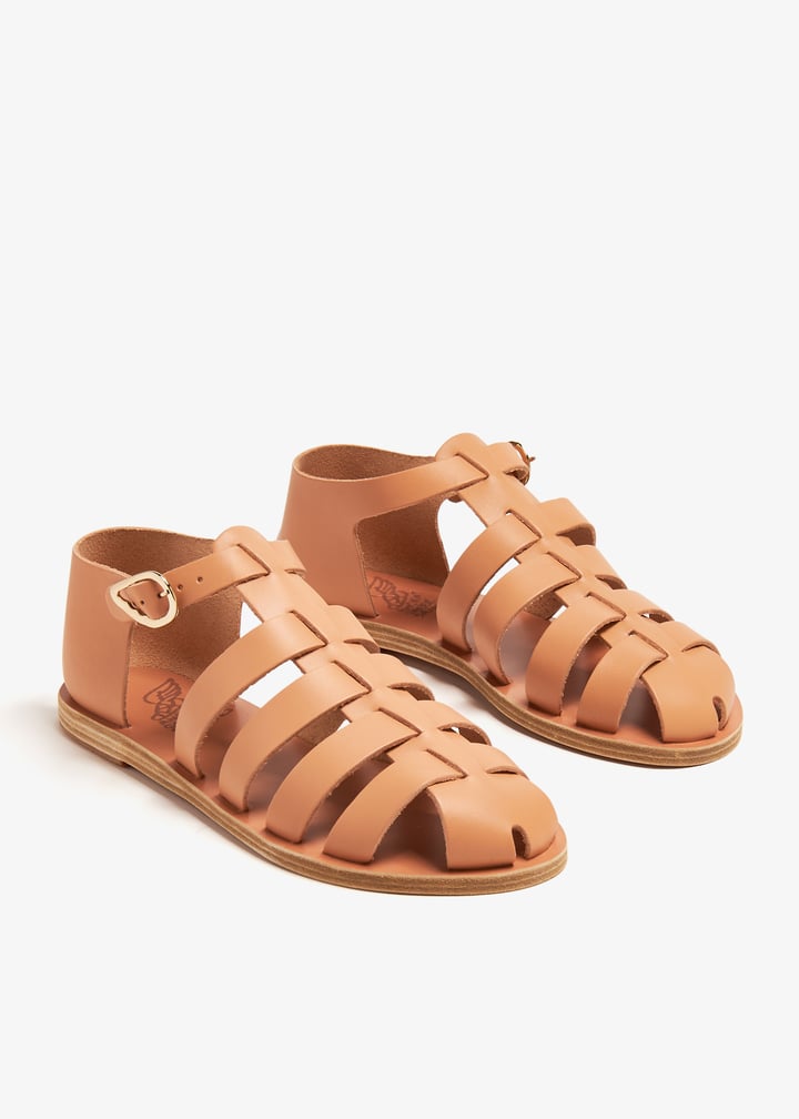 homeria-naturl_7.jpg?ts=20240622040019