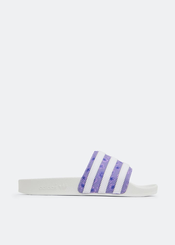 hq4294-maftft_1.jpg?ts=20230311032028