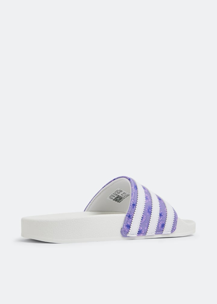 hq4294-maftft_4.jpg?ts=20230311032028