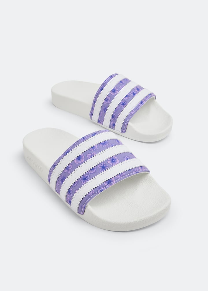 hq4294-maftft_5.jpg?ts=20230311032028