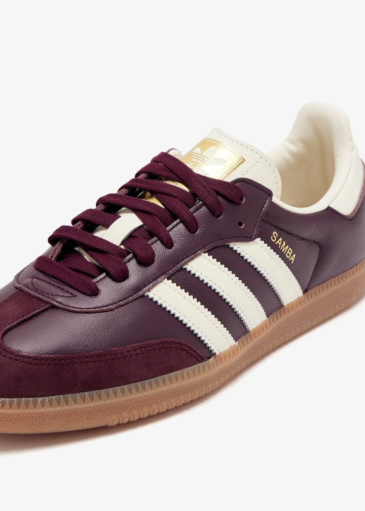 id0477-macrgo_5.jpg?ts=20241225040621