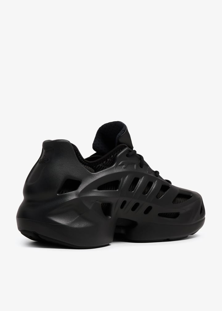 if3902-cbcbsi_4.jpg?ts=20240720031518