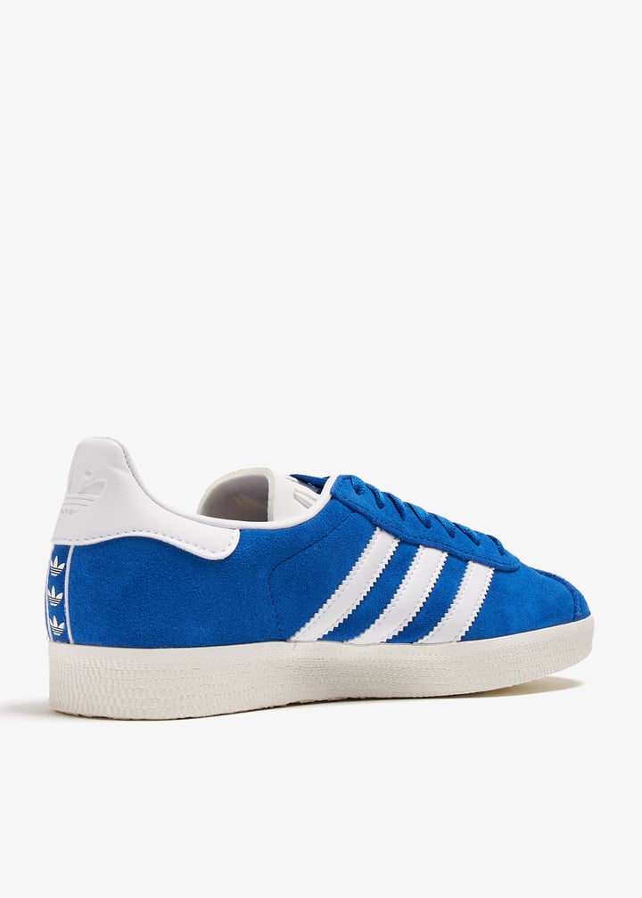 ig2093-blftco_6.jpg?ts=20240801030517