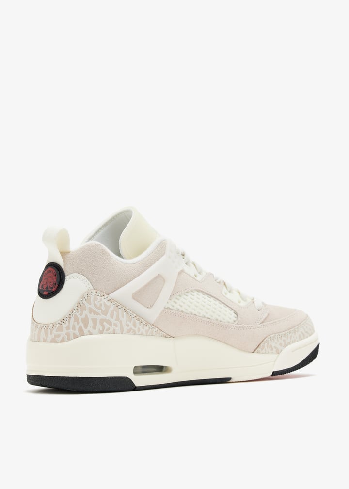 iq0303-133_6.jpg?ts=20260130084852