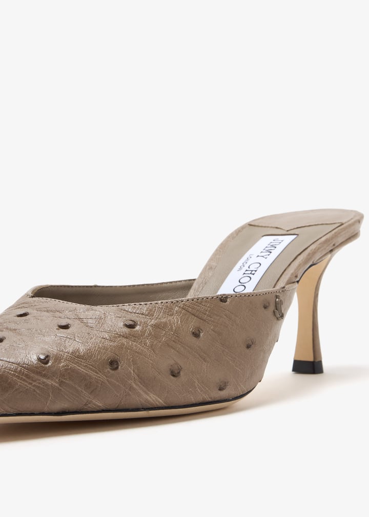 j000175279_3.jpg?ts=20250305030515